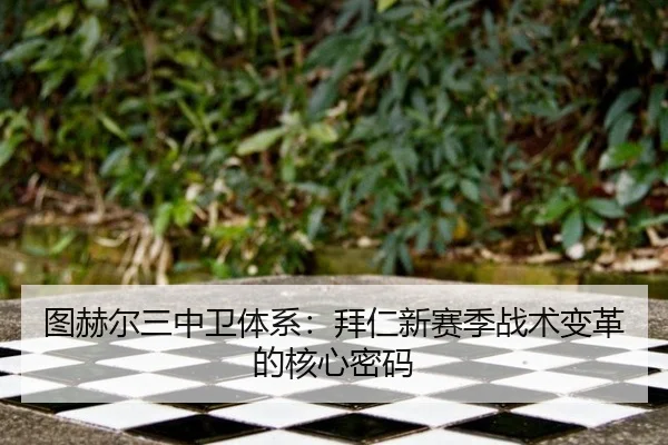 tu-he-er-san-zhong-wei-ti-xi-bai-ren-xin-sai-ji-zhan-shu-bian-ge-de-he-xin-mi-ma-2-919.jpg